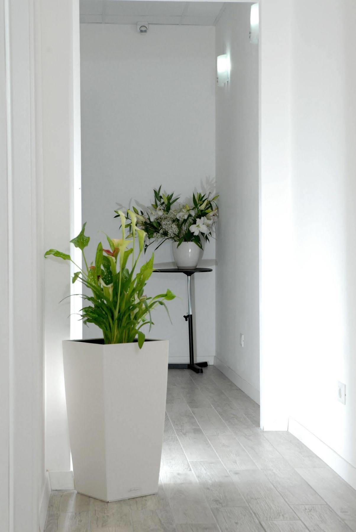 Gardenia Suite Rome Bagian luar foto